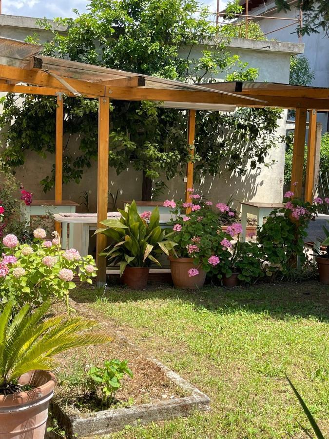 Casa Violetta Bed & Breakfast Marina di Massa Eksteriør bilde